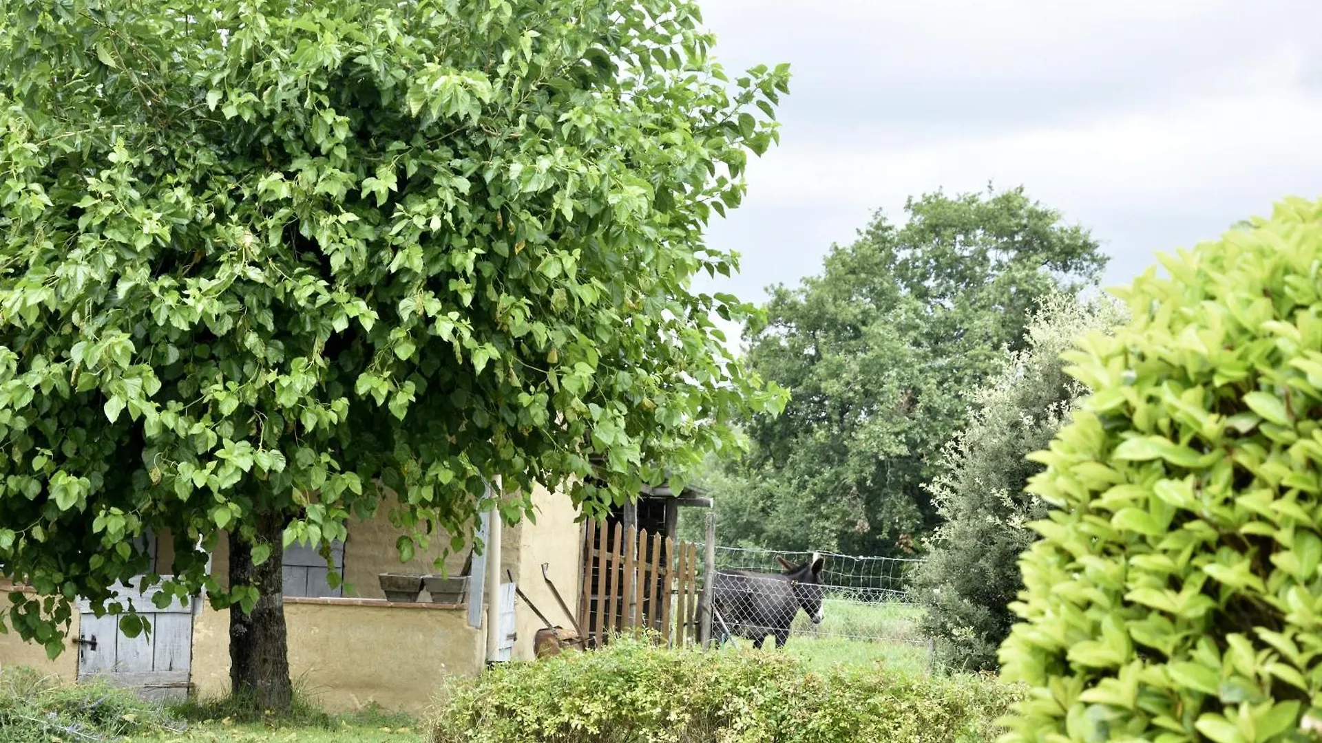 Gite Au Tranquillou Albias 0*,  Francia