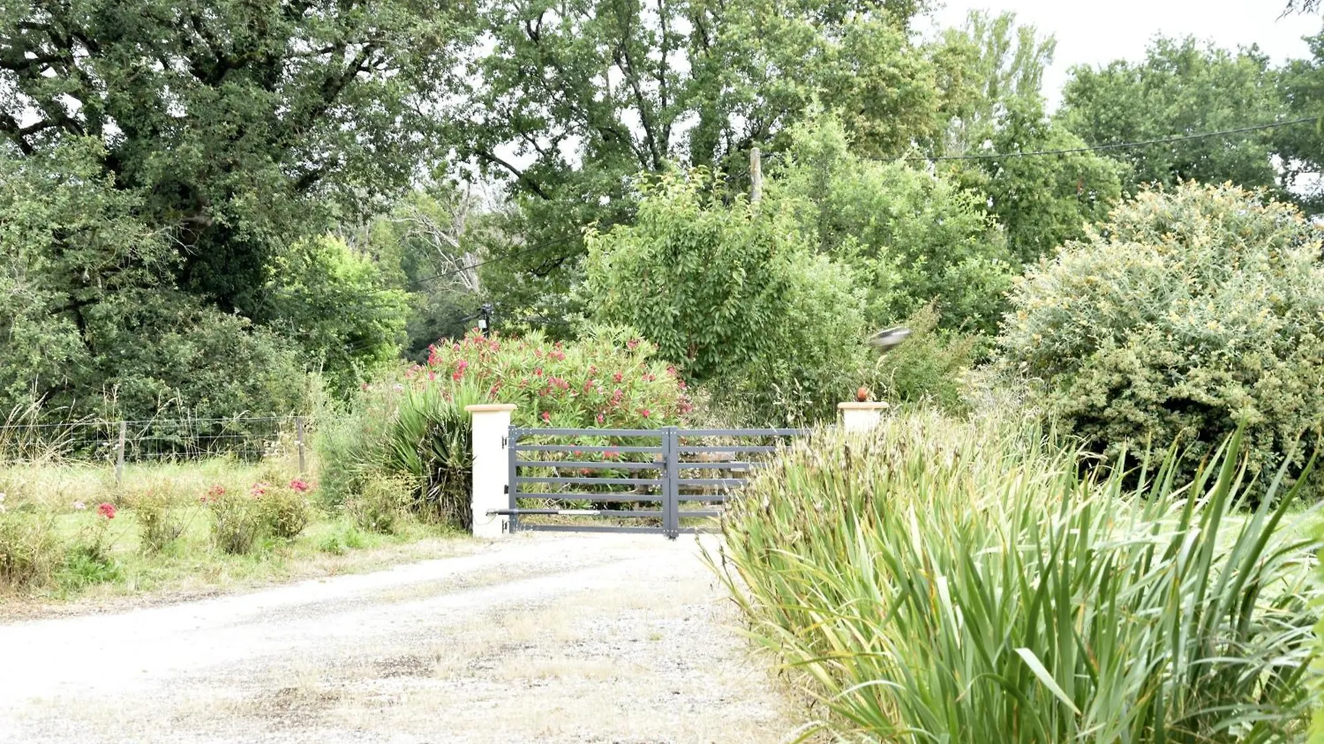 Apartamento Gite Au Tranquillou Albias Francia